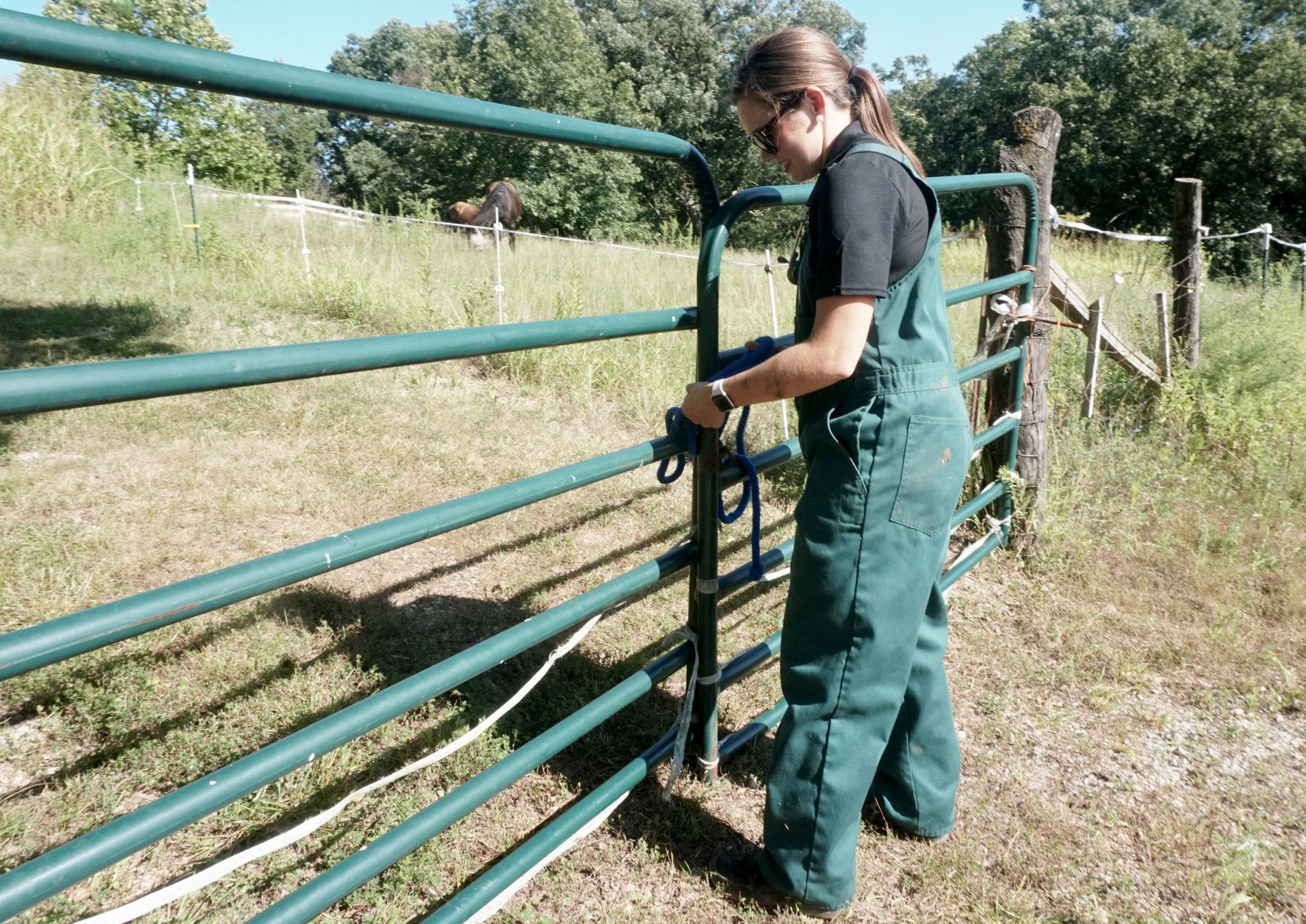 Large animal veterinarians
